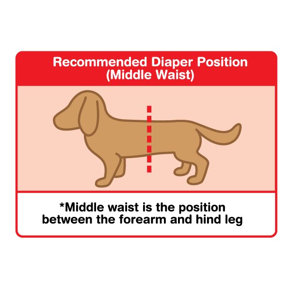 Unicharm Manner Wear Dog Diaper (Female) - Usage Directions2